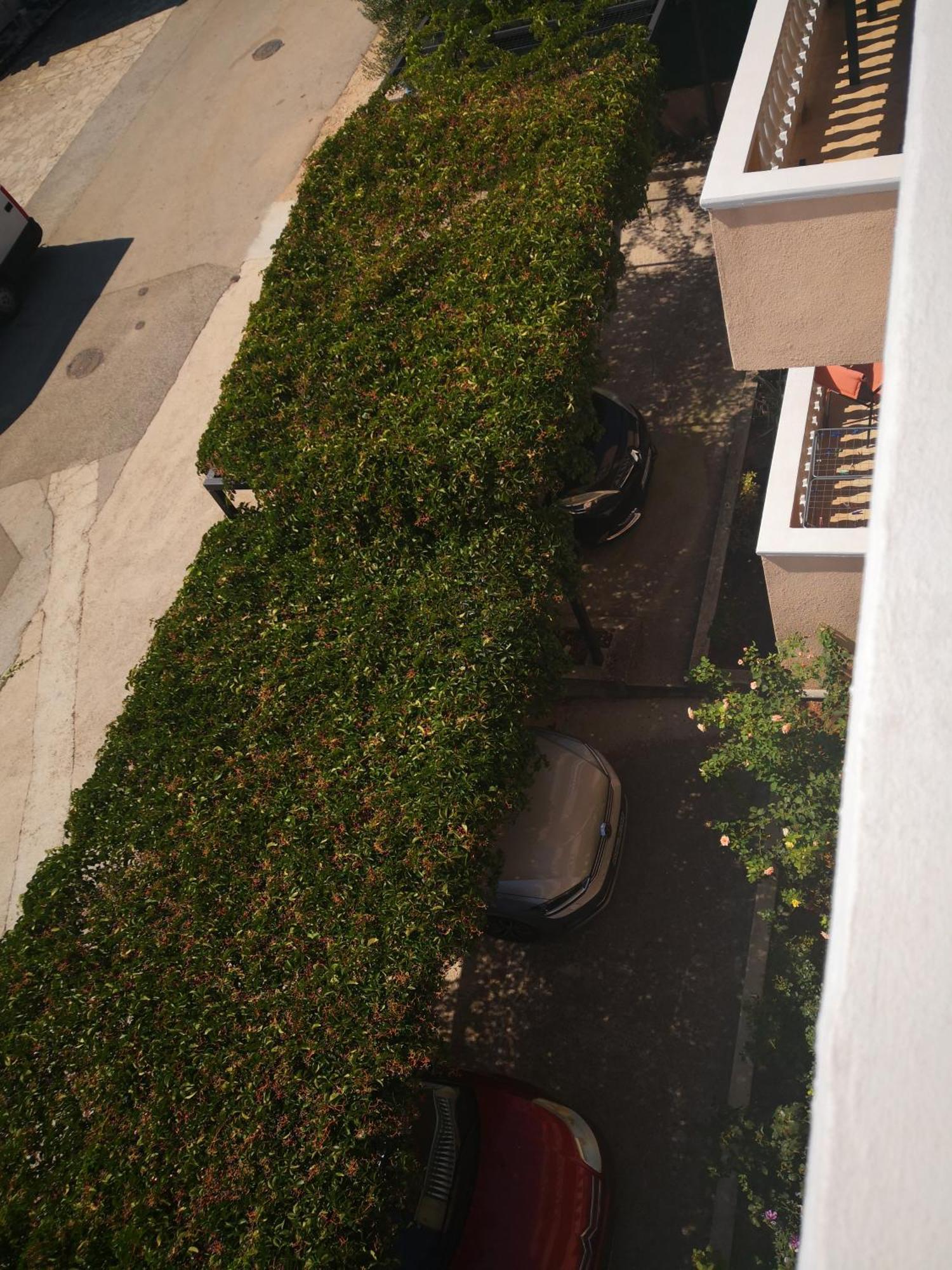 Apartment Plavia Biograd Biograd Na Moru Luaran gambar